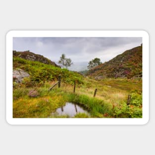 Raindrops on Holme Fell Sticker